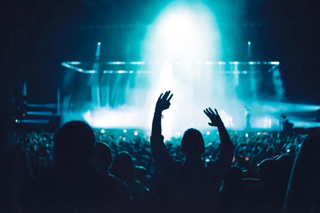 Concert crowd in front of a lit stage